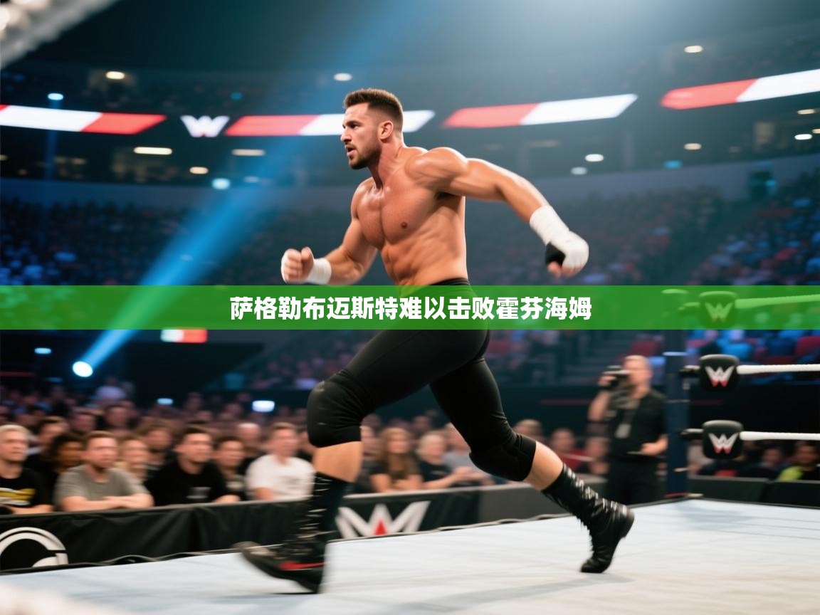 萨格勒布迈斯特难以击败霍芬海姆 第1张