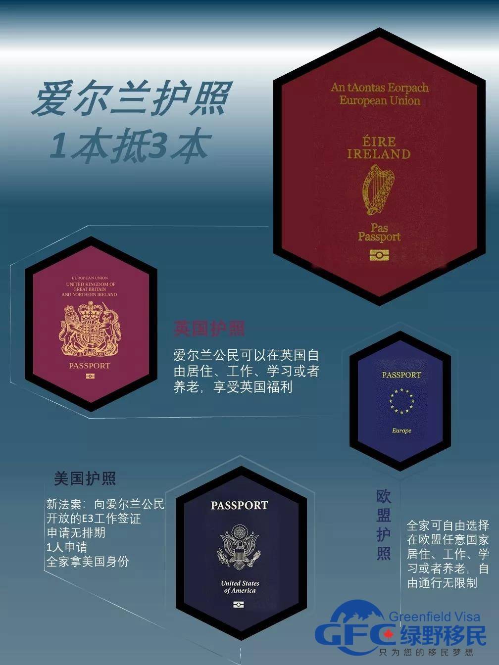 半岛体育全站-关于葡萄牙力克爱尔兰，稳固领先位置的信息