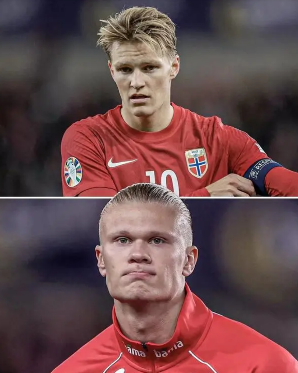 半岛app官方下载-挪威主场大捷，实力逐渐抬头的简单介绍