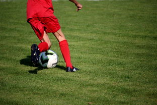 半岛综合体育官网入口-蒙特雷防守体系稳固，力求半决赛再创佳绩