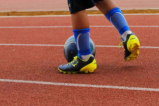 半岛体育官网首页-西班牙球员进军国际足球联赛，西班牙国家队 足球